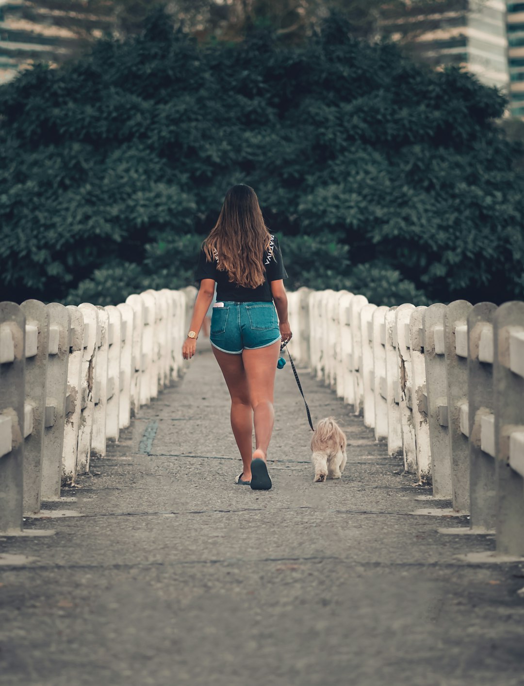 a-woman-walking-a-dog-down-a-bridge-o-96xlde25o