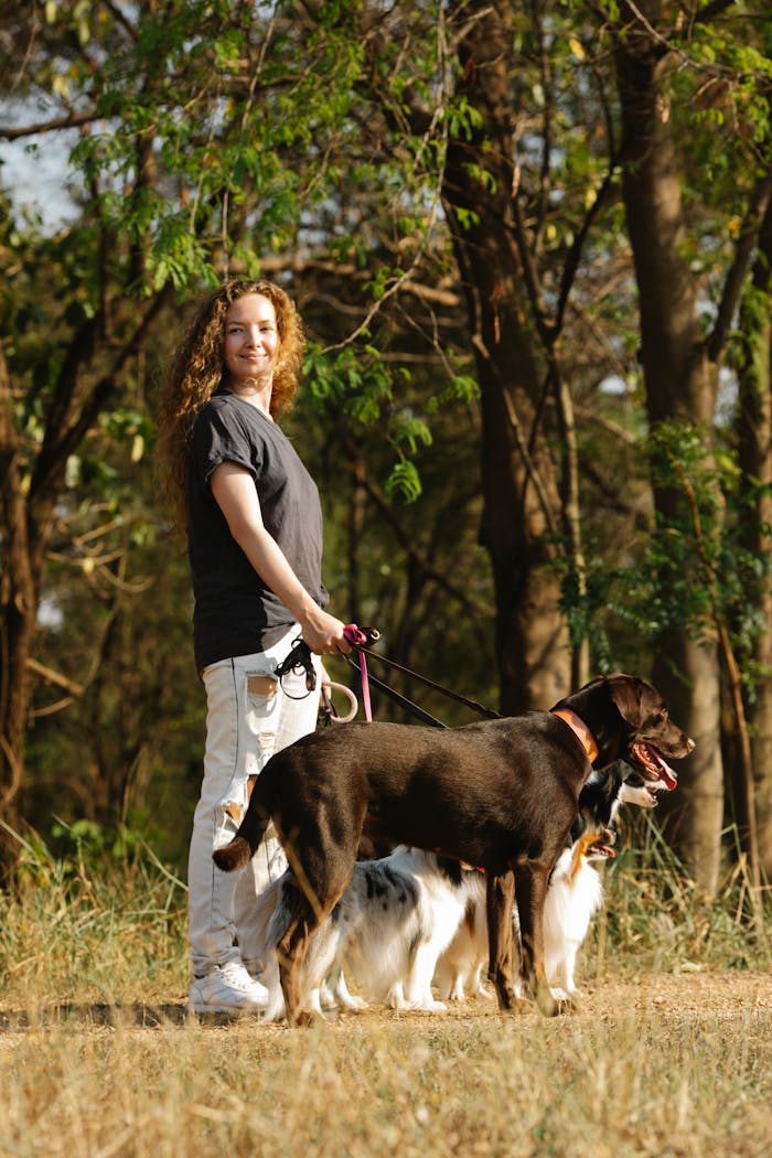 A smiling woman walks multiple dogs on leashes through a sunlit forest path, embracing nature.